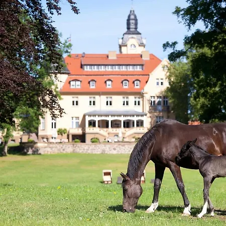Haus 6 * Wendorf (Kuhlen-Wendorf)